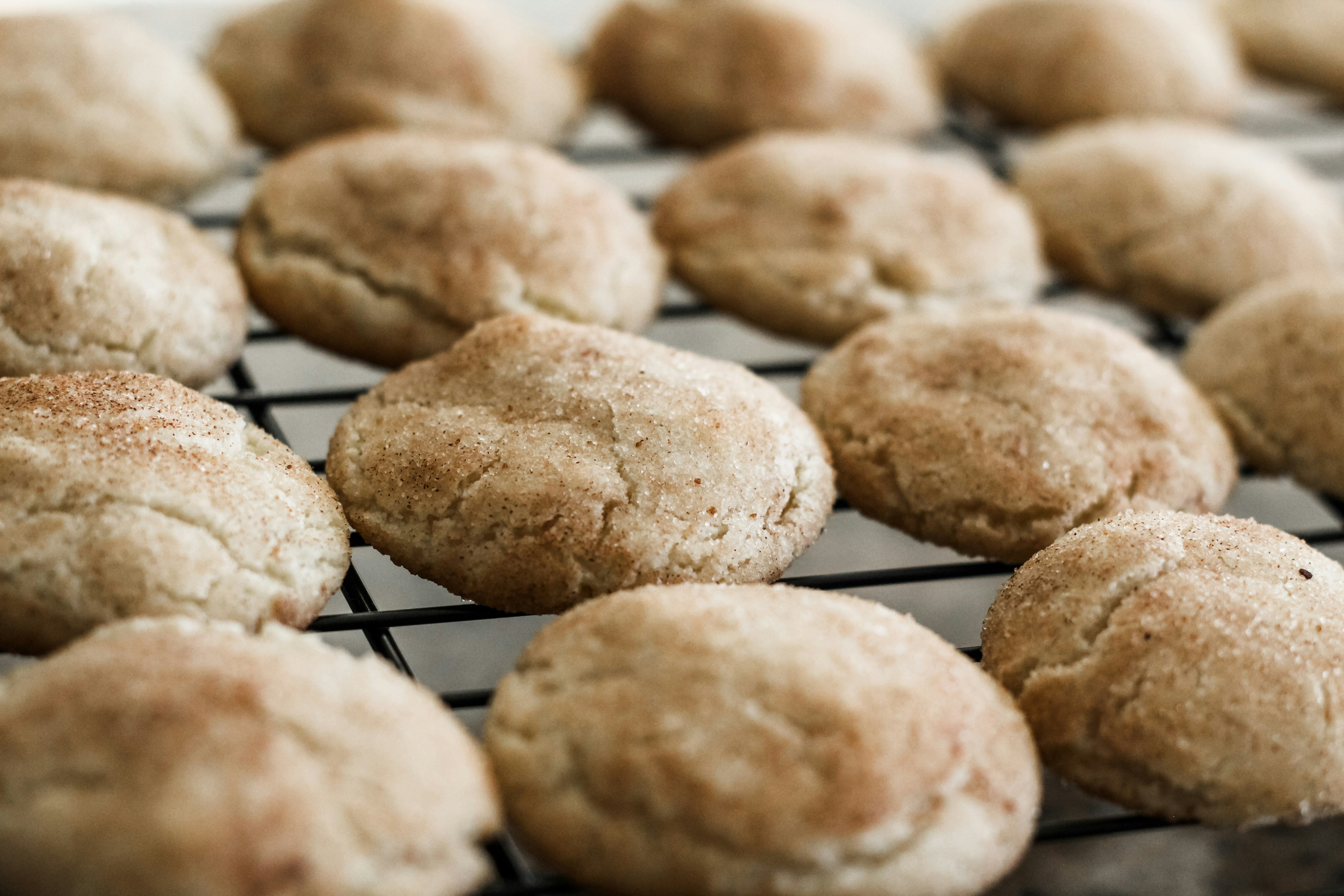 Snickerdoodle Cookie